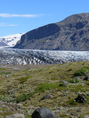 Langue glacière Skaftafellsjökull.JPG