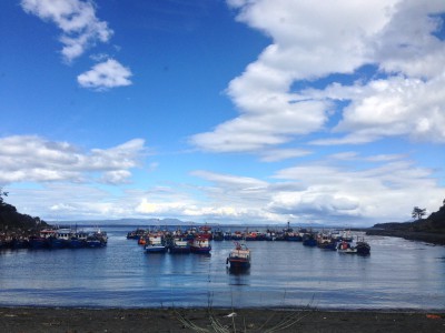 Cette aprém', depuis la cabine du B ,  petit port à côté de fuente  bulnes en dessous de Punta Arenas