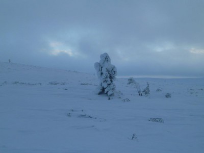 Kiilopää on 546 metrin korkuinen tunturi Urho Kekkosen kansallispuistossa, Saariselällä Raututunturien alueella.