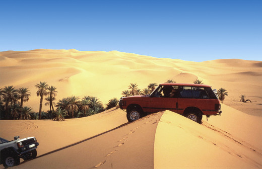 Sahara tour plante1.jpg